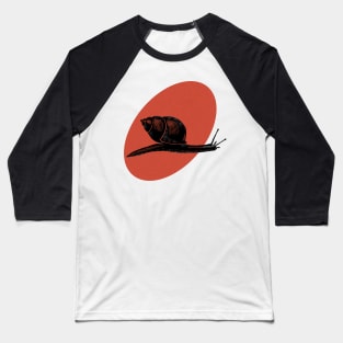 Snail print Baseball T-Shirt